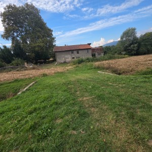 Casolare - Pietrasanta - Padule