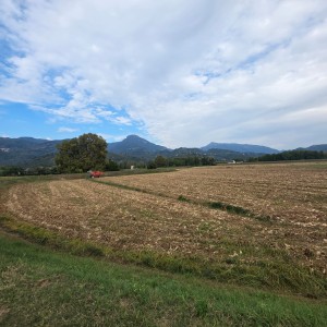 Casolare - Pietrasanta - Padule
