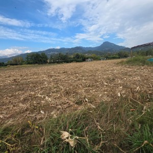 Casolare - Pietrasanta - Padule