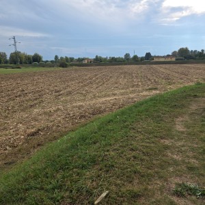 Agricoli - Pietrasanta - Padule