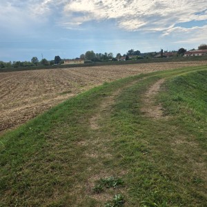 Agricoli - Pietrasanta - Padule