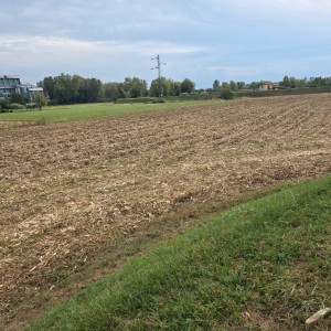 Agricoli - Pietrasanta - Padule