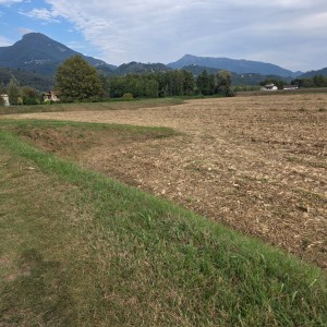Agricoli - Pietrasanta - Padule